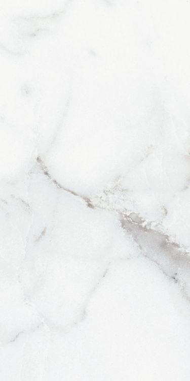 Origines Argent Glossy 12 x 24